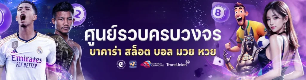 wink555plus เข้าสู่ระบบ